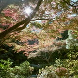 池田山公園散策