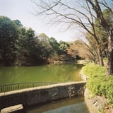 春初め・・・