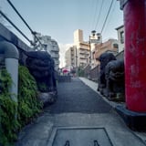 稲荷大明神横の狛犬