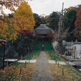 横浜 秋 お寺散策