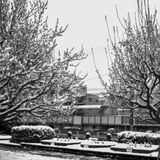 雪の横浜