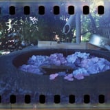 紫陽花の手水舎