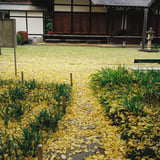 横浜 秋 散策