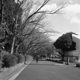 三ツ沢散策