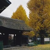 横浜 秋 散策