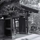興福寺