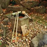 横浜もみじお寺散策