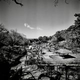 大倉山梅園公園