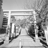 初詣