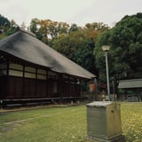 横浜 藁葺き屋根