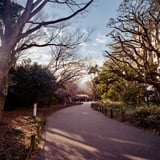 新宿御苑散歩