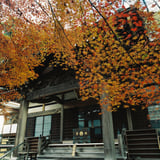 横浜もみじお寺散策