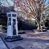 山下公園の電話ボックスと紅葉