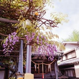 岡野神社