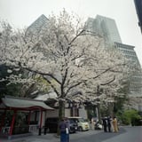 日枝神社