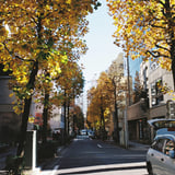 桜木町から馬車道へ