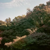 池田山公園散策