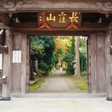 横浜 もみじ お寺散策
