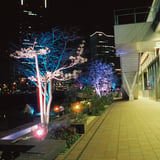 馬車道夜景