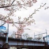 大岡川で