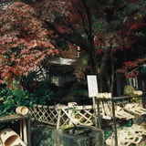 横浜もみじお寺散策