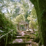 横浜の紫陽花寺で紫陽花を避けて
