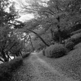 松山散策