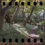 豊顕寺