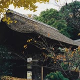 横浜 秋 散策