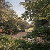 横浜公園散歩