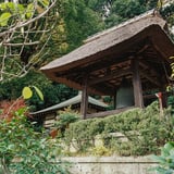 横浜 秋 お寺散策