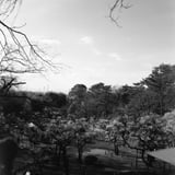 大倉山梅園