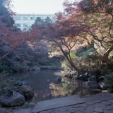 池田山公園もみじ散策