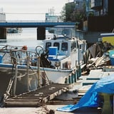子安浜