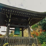 横浜もみじお寺散策