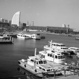 横浜散策
