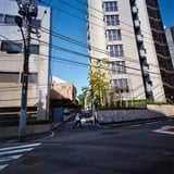 朝散歩