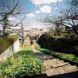 花寺で