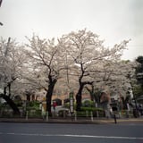 有栖川宮記念公園