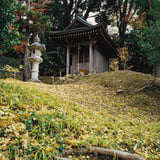 横浜もみじお寺散策