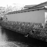 北陸旅行