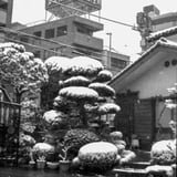 雪のお寺