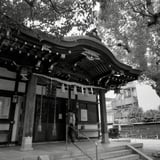 寺社を見ればよってみる