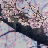三ツ沢公園