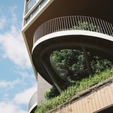 夏空を入れて
