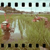 田植えのころ・・・からは少し過ぎているけど💦