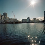 太陽