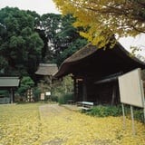 横浜 秋 散策