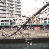 ハーモニカ横丁向い