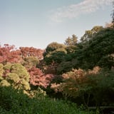 池田山公園散策
